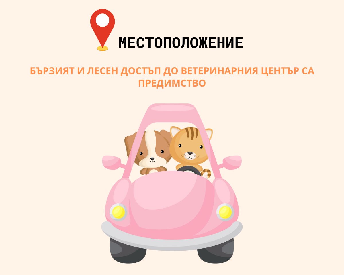местоположение на ветеринатната клиника