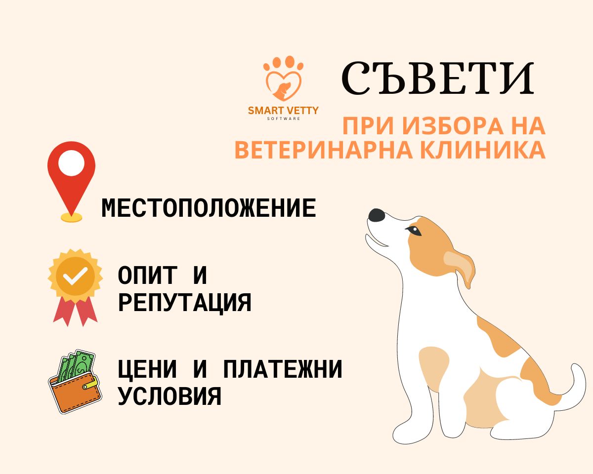 съвети при избор на ветеринарна клиника